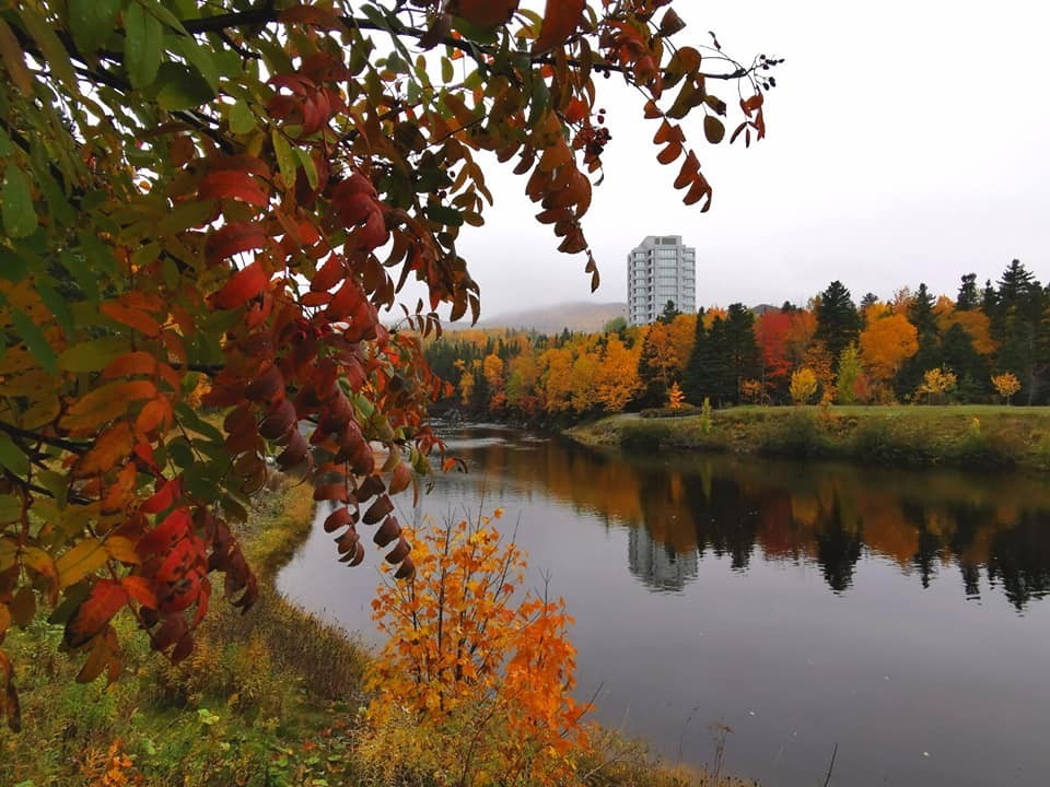  Corner Brook Stream Trail