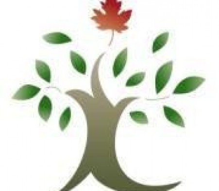 Travailler Ensemble prévient les abus et la fraude envers les aînés