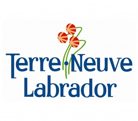 La ministre Gambin-Walsh déclare que le mois de juin est le Mois des aînés