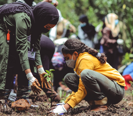 La ville de Saint-Jean de Terre-Neuve relance l'initiative d'un bon d'achat de 200 dollars pour l'achat et la plantation d'un arbre