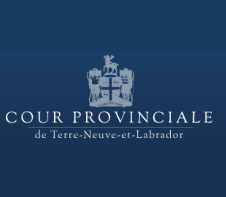 Le juge Robin Fowler, nommé juge en chef de la cour provinciale de Terre-Neuve-et-Labrador