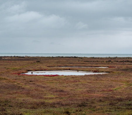 Consultation publique jusqu'au 27 janvier 2023 sur des changements envisagés à la prescription acquisitive