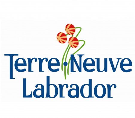 Programme de soutien financier aux artistes de TNL