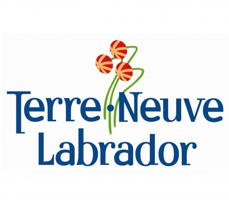 Fonds d'urgence disponible pour les organismes à but non lucratif de TNL