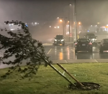 Ouragans : St. Jean de Terre-Neuve souhaite connaître l'avis des jeunes en matière de préparation aux catastrophes