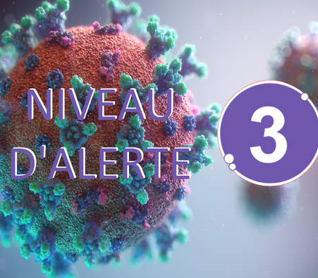Covid-19 : l'ensemble de la province de Terre-Neuve repasse au niveau d'alerte 3 jusqu'au 10 janvier 2022
